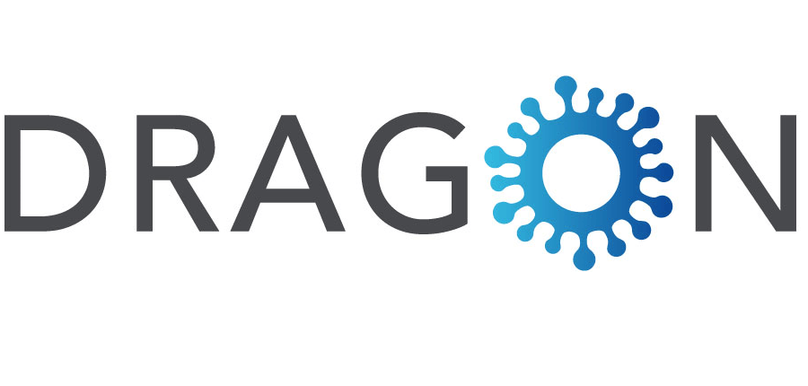 logo dragon logo dragon